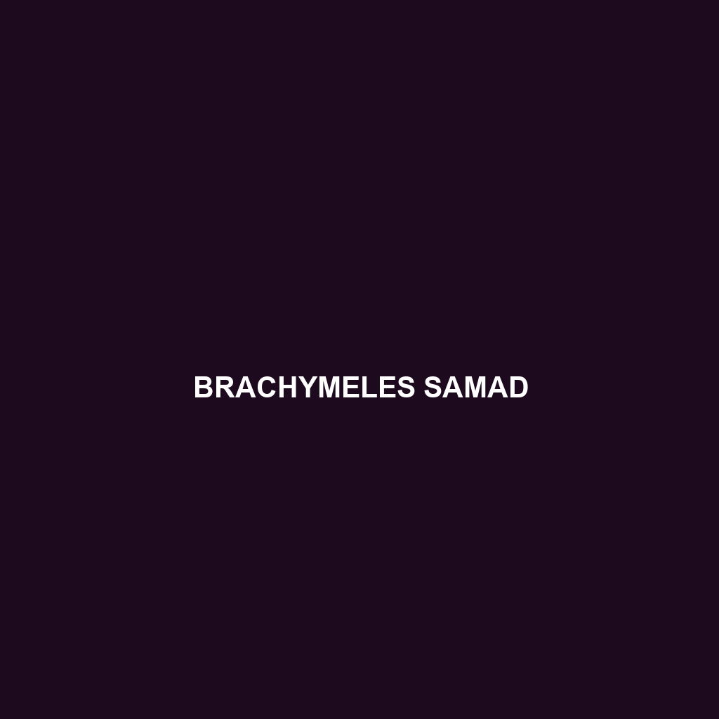 Brachymeles samad