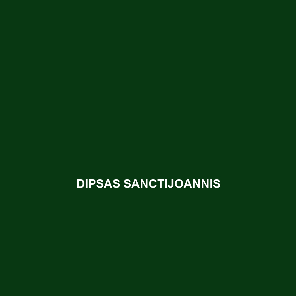 Dipsas sanctijoannis