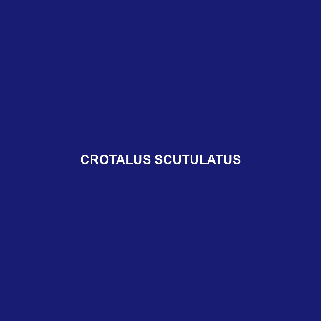 Crotalus scutulatus