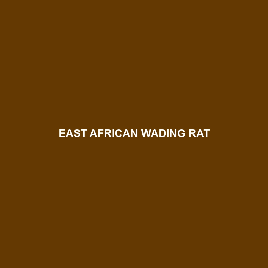 East African Wading Rat