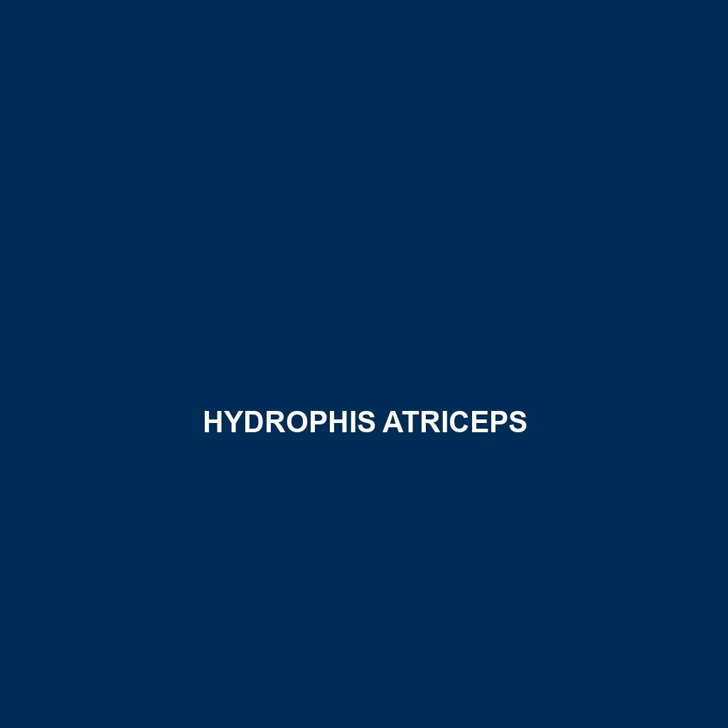 Hydrophis anomalus