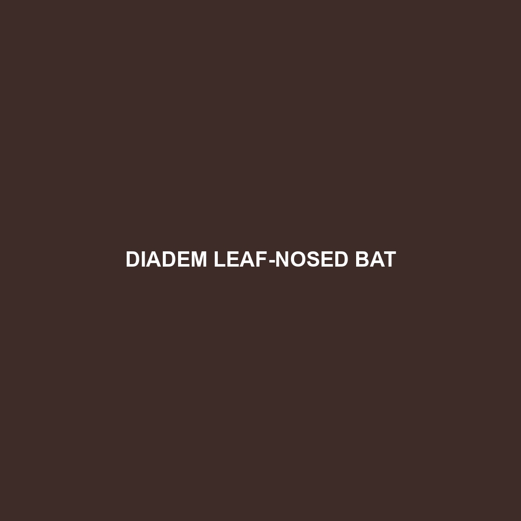 Diadem Leaf-nosed Bat