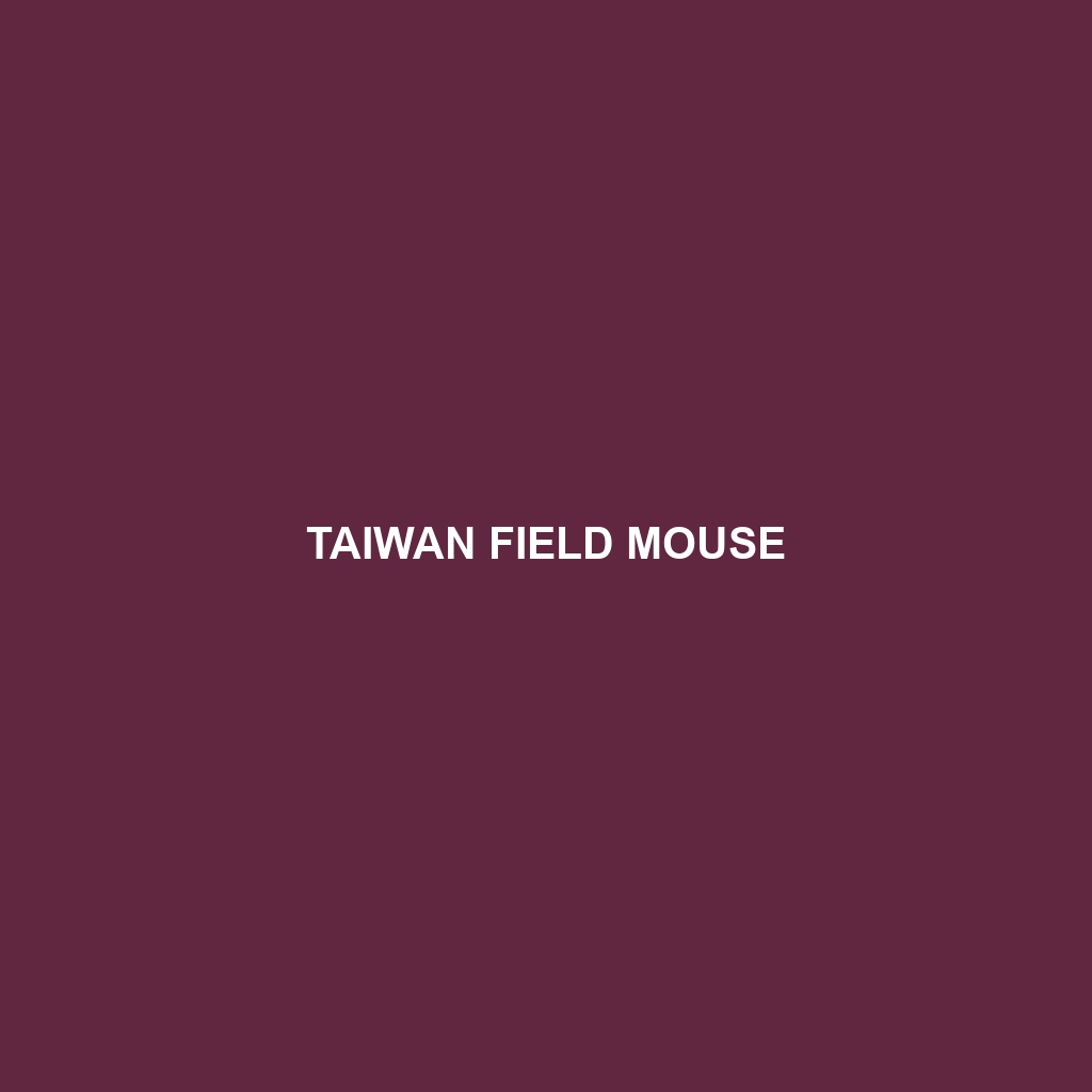 Taiwan Field Mouse