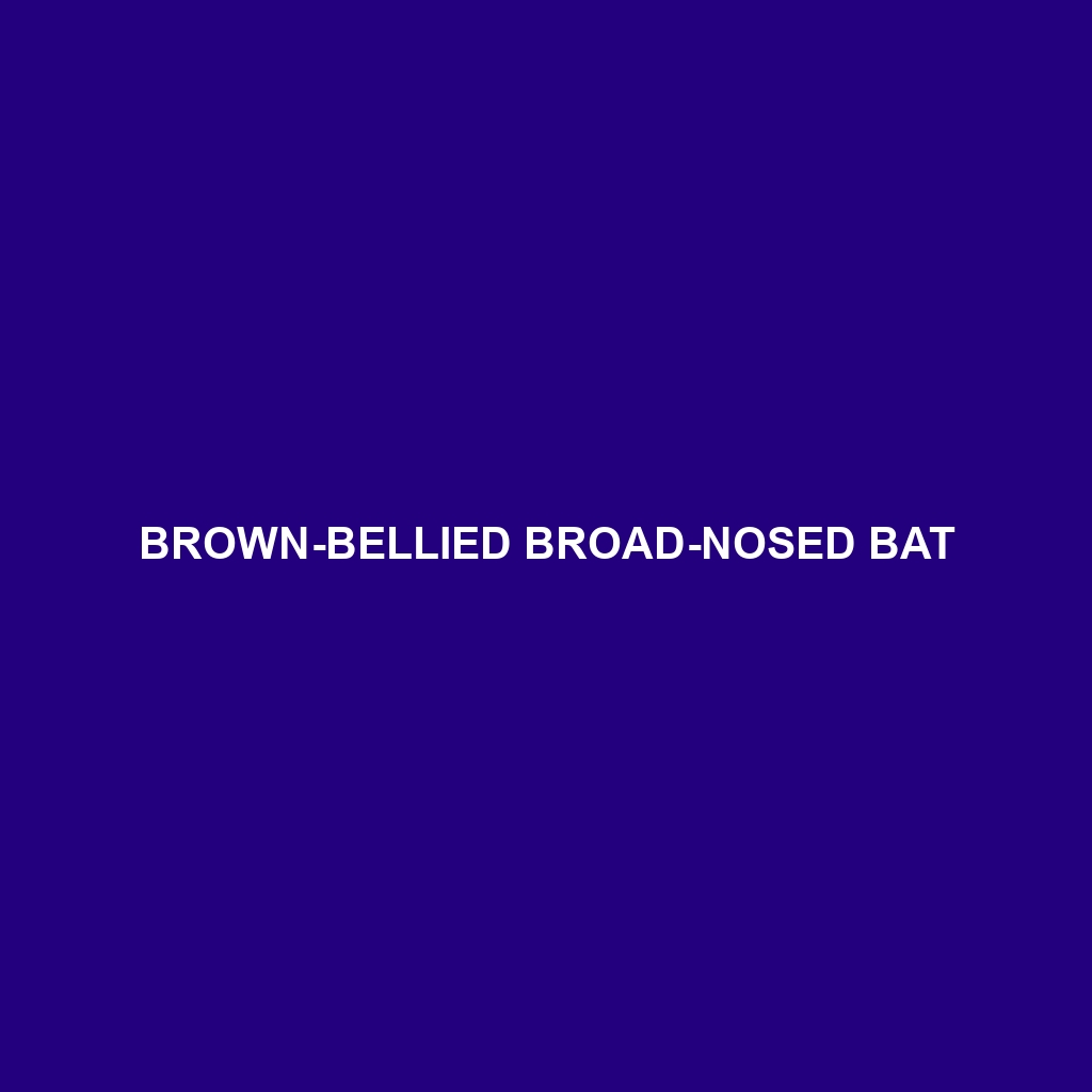 Brown-bellied Broad-nosed Bat