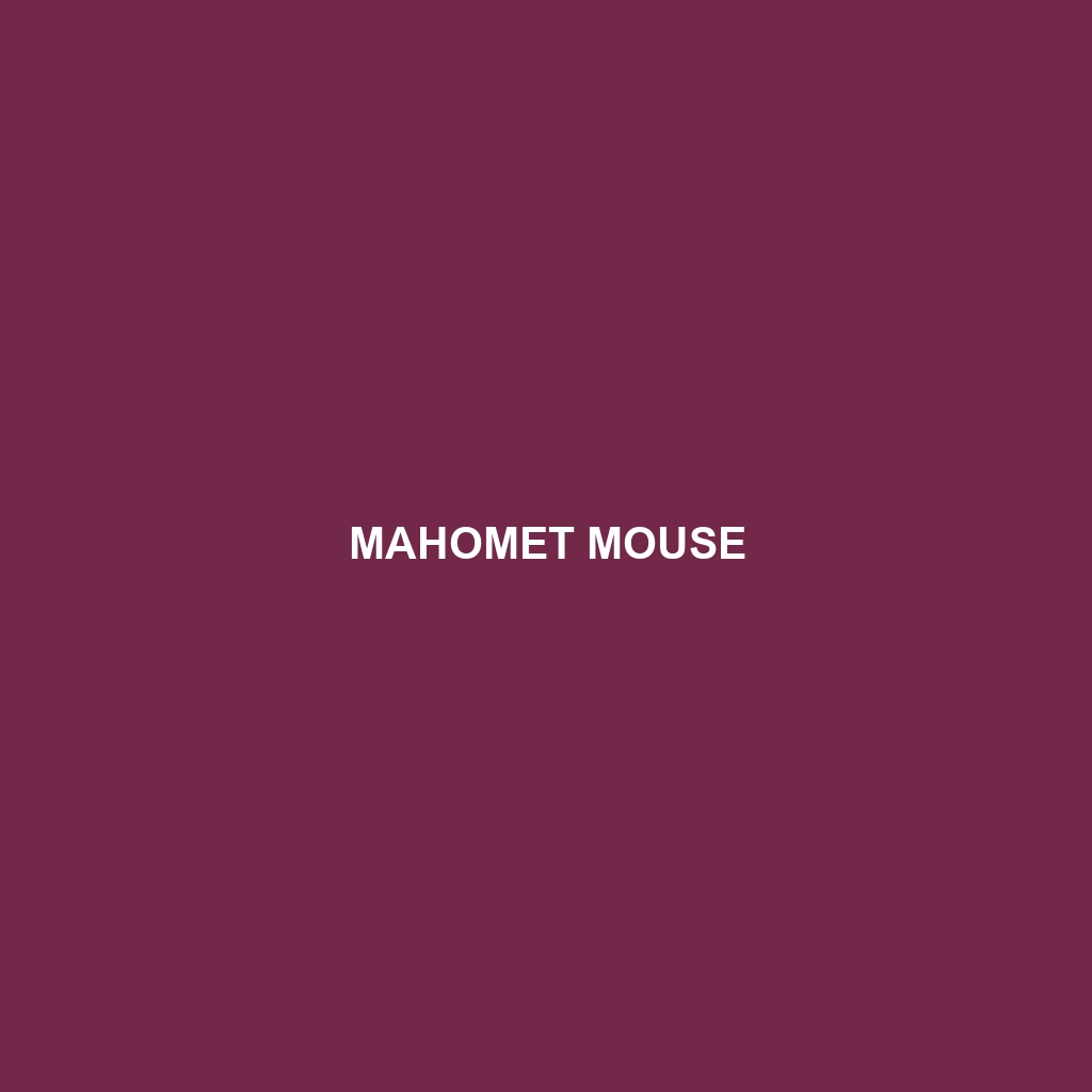 Mahomet Mouse