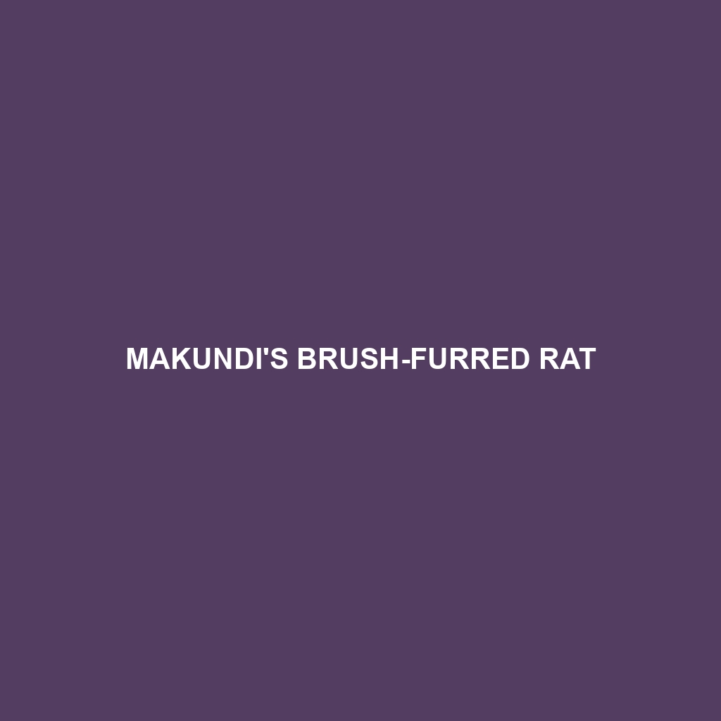 Makundi's Brush-furred Rat