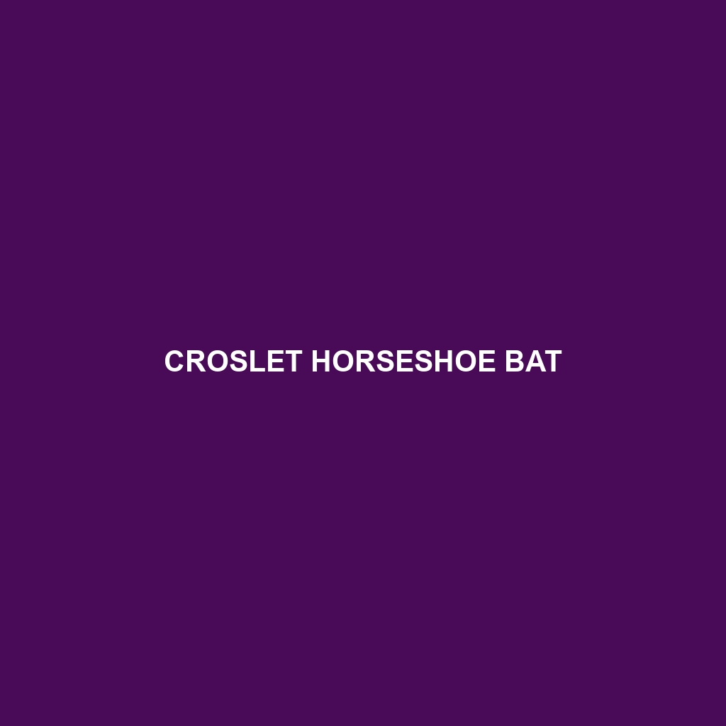 Croslet Horseshoe Bat