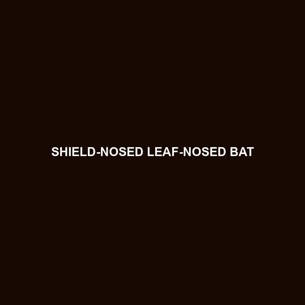 Shield-nosed Leaf-nosed Bat