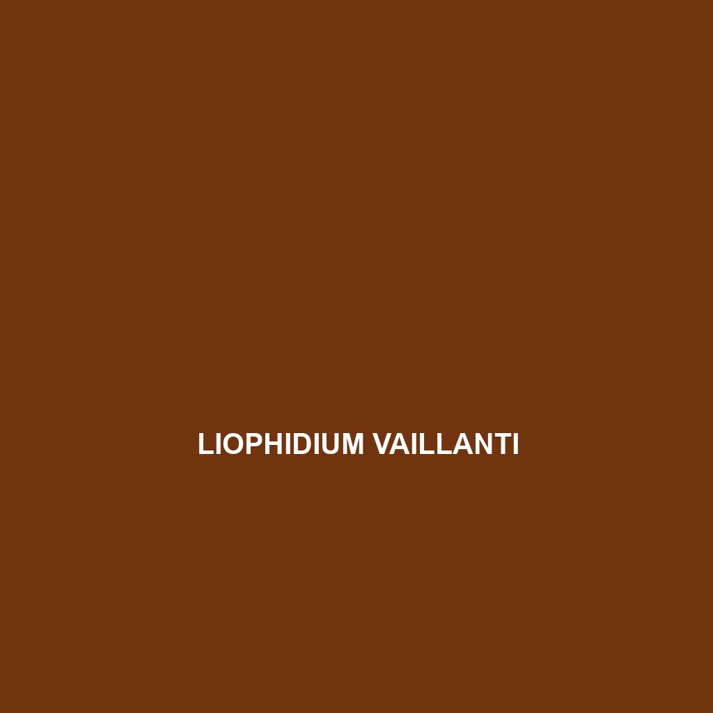 Liophidium vaillanti