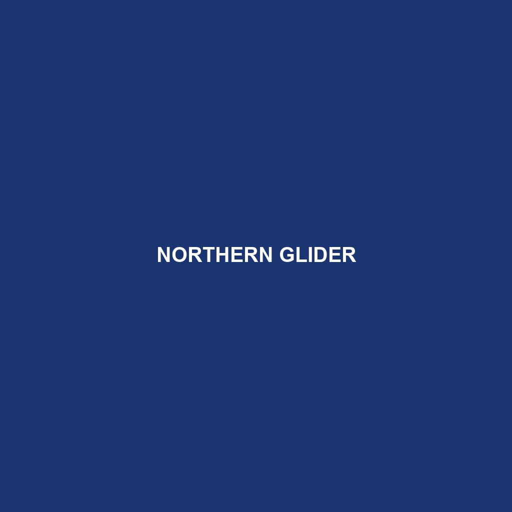 Northern Glider