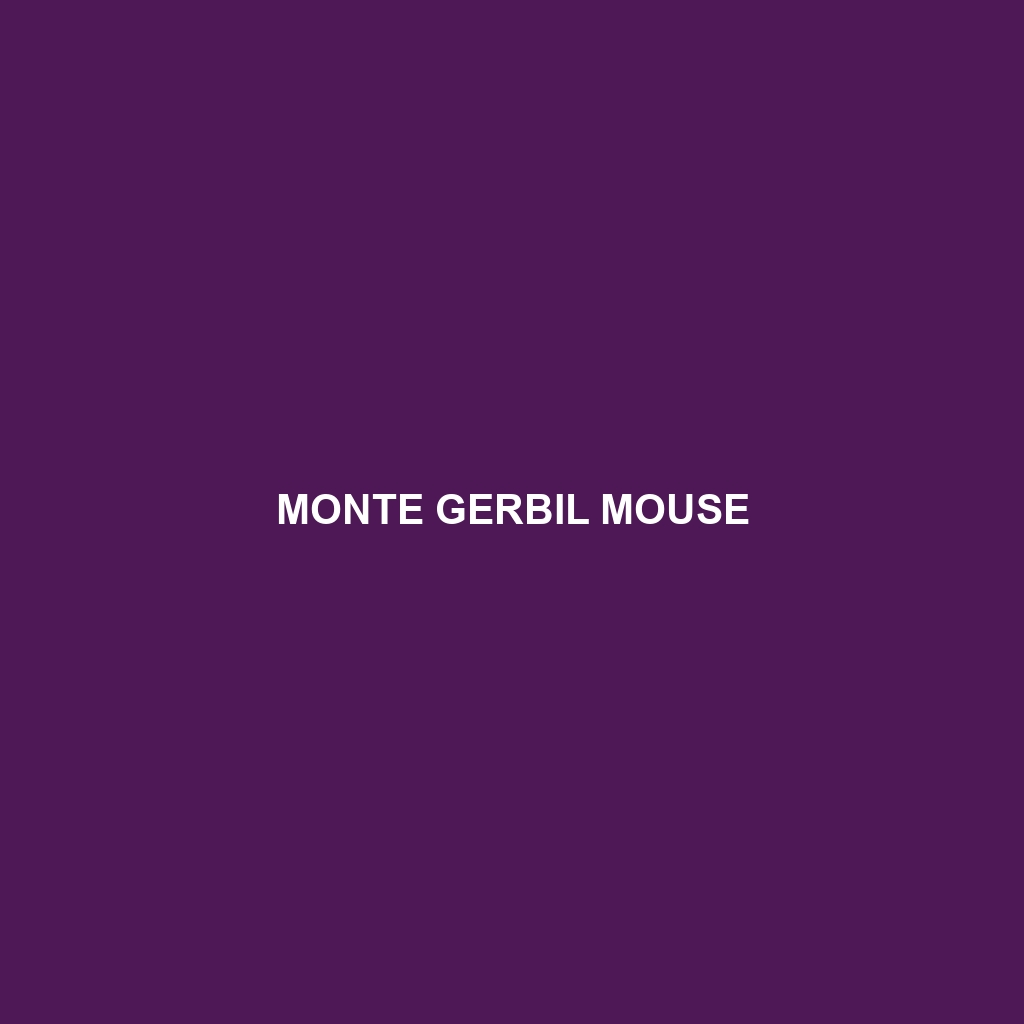 Monte Gerbil Mouse