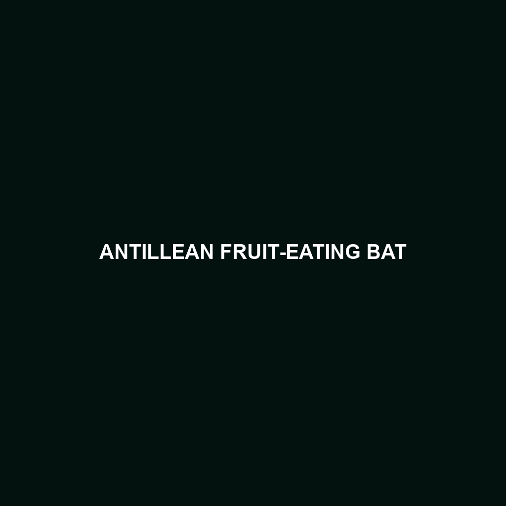 Antillean Fruit-eating Bat