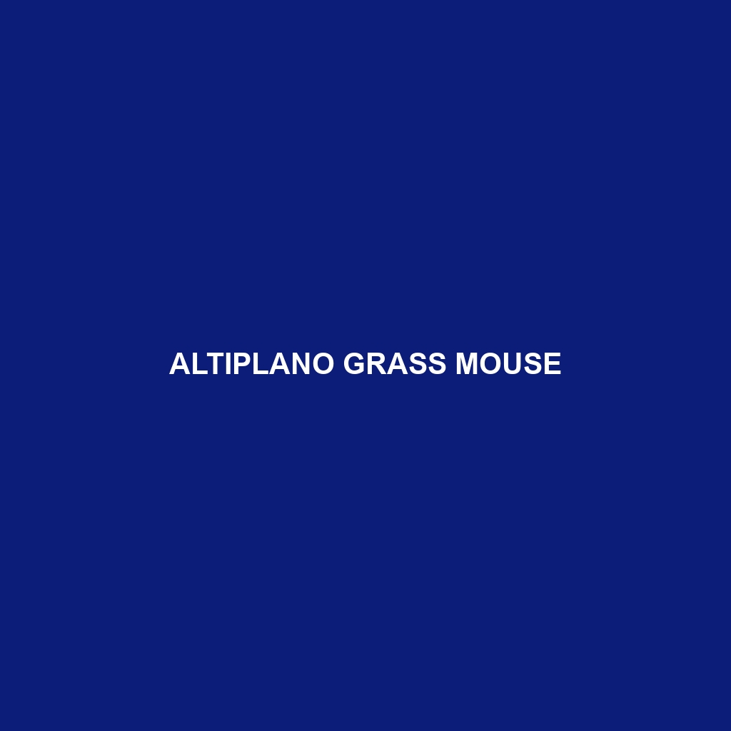 Altiplano Grass Mouse