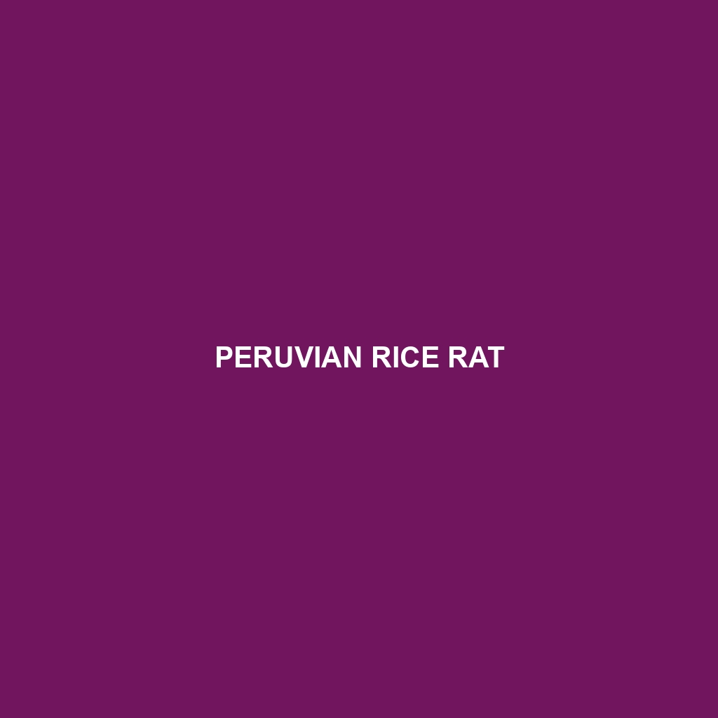 Peruvian Rice Rat