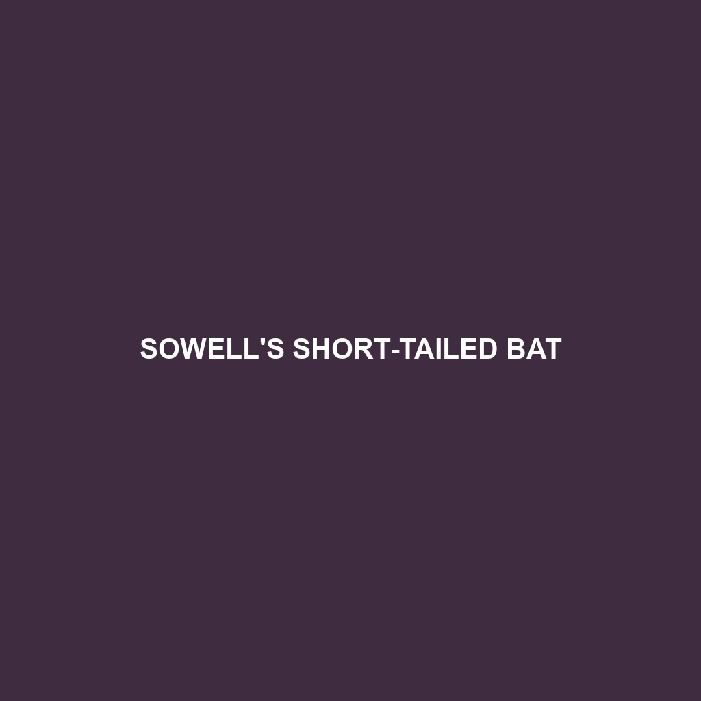 Sowell's Short-tailed Bat