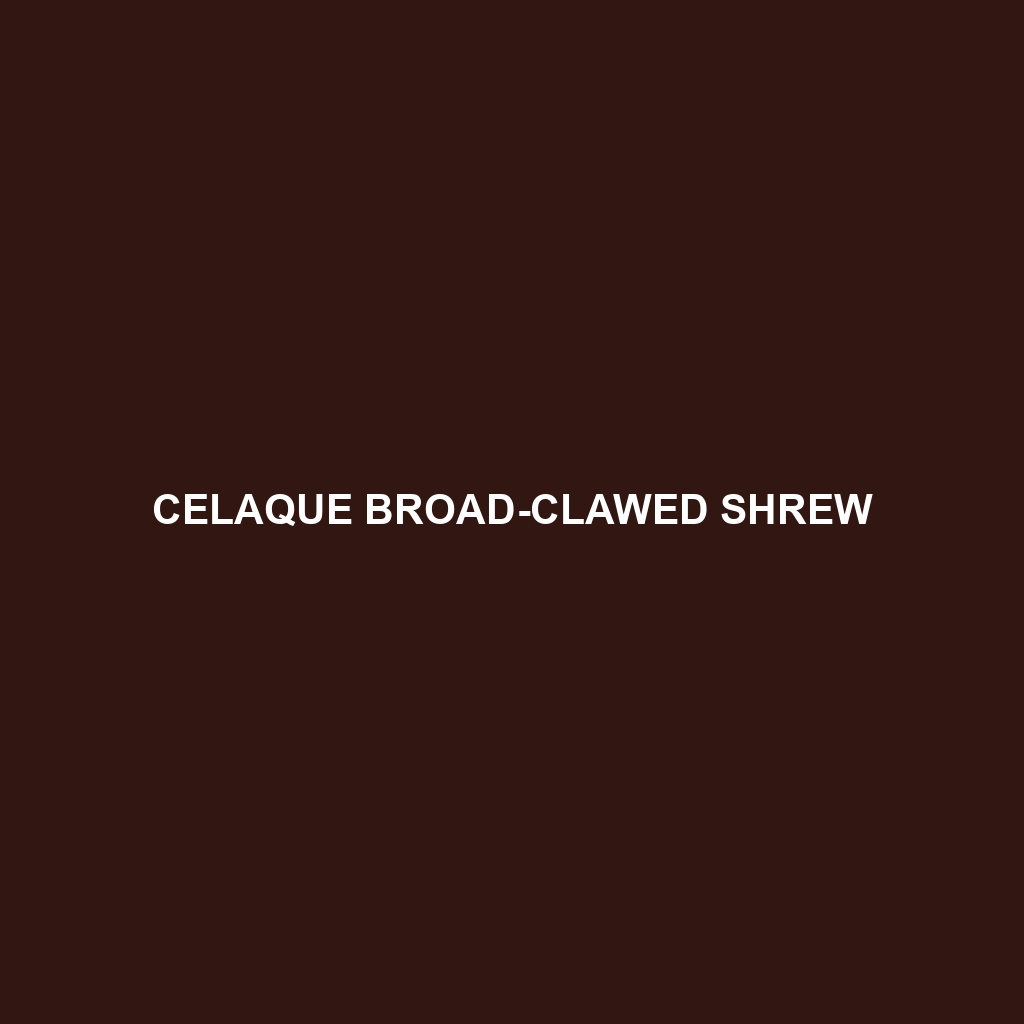 Celaque Broad-clawed Shrew