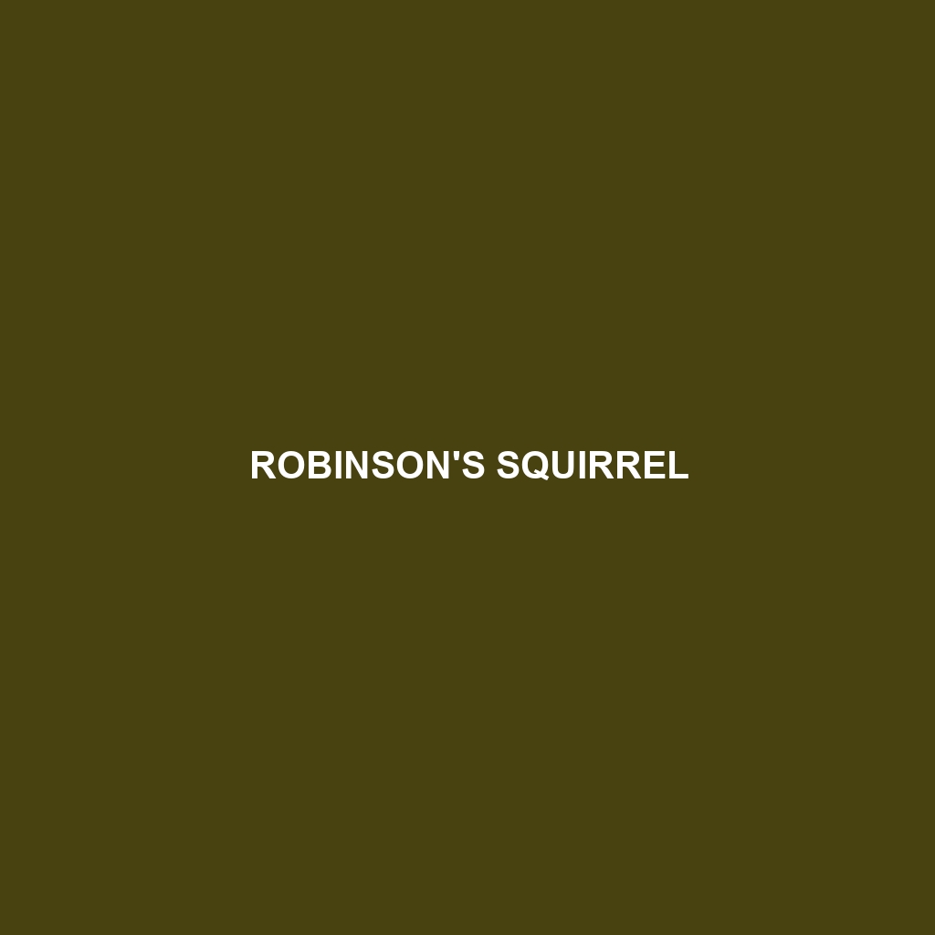 Robinson's Squirrel