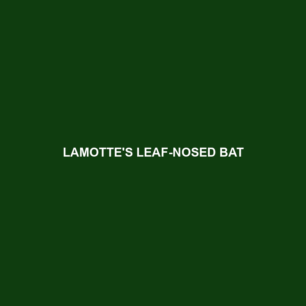 Lamotte's Leaf-nosed Bat