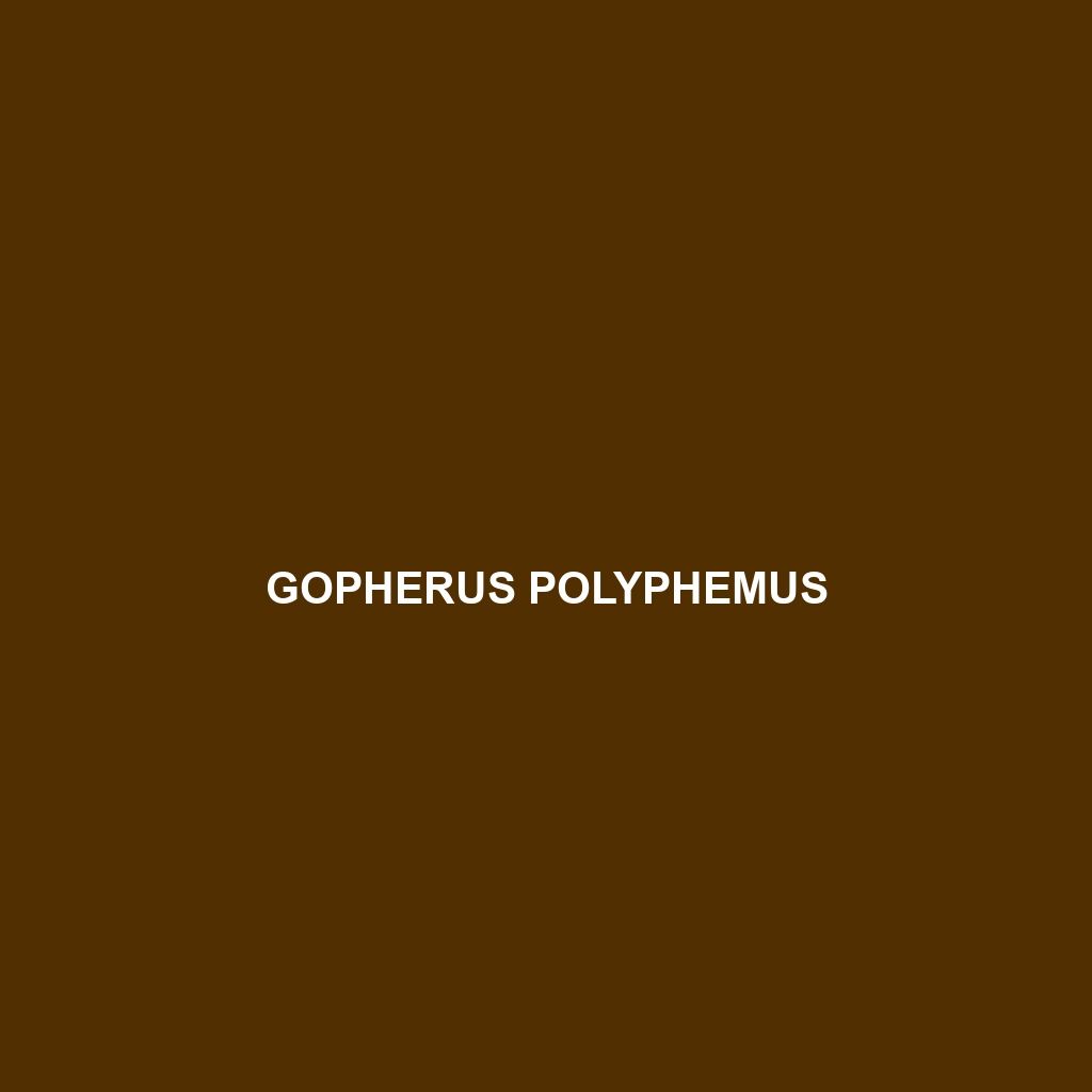 Gopherus polyphemus