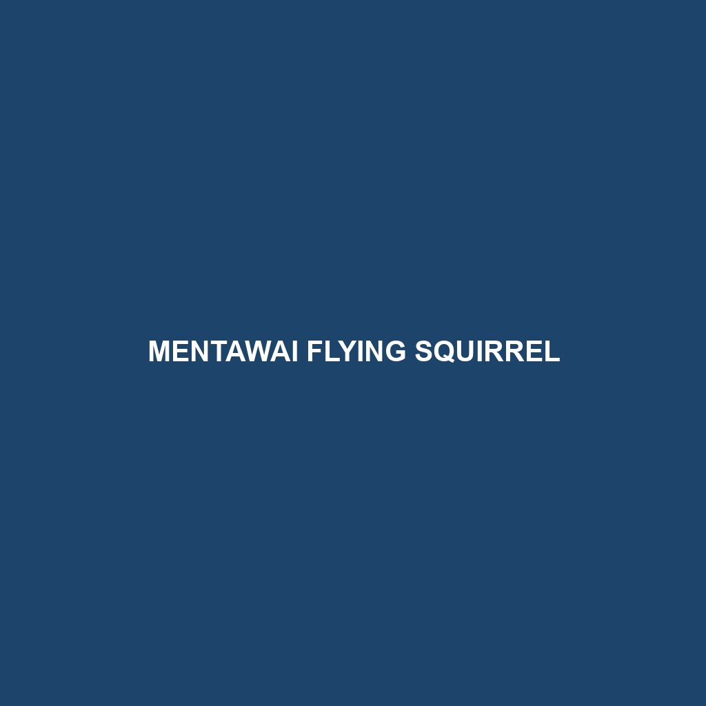 Mentawai Flying Squirrel