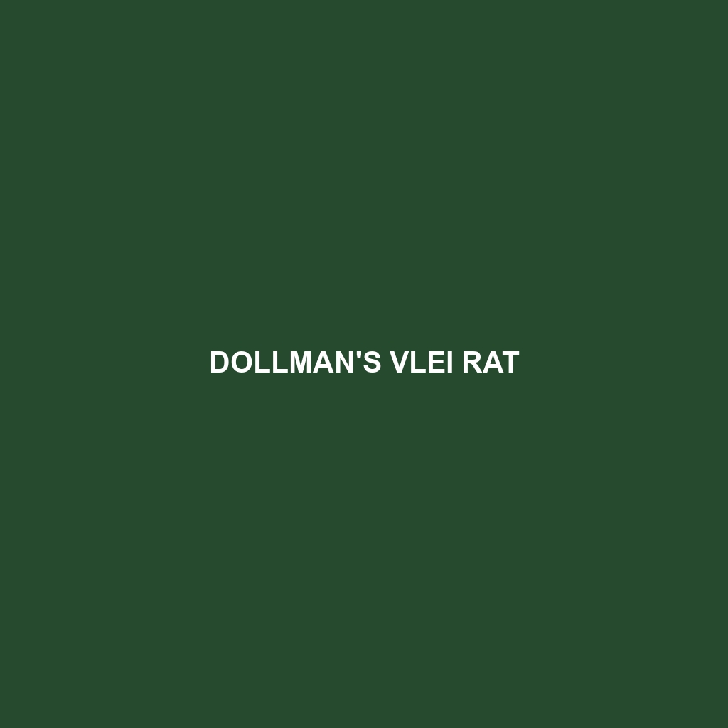 Dollman's Vlei Rat