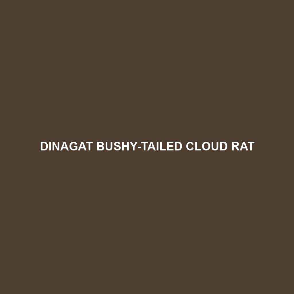 Dinagat Bushy-tailed Cloud Rat