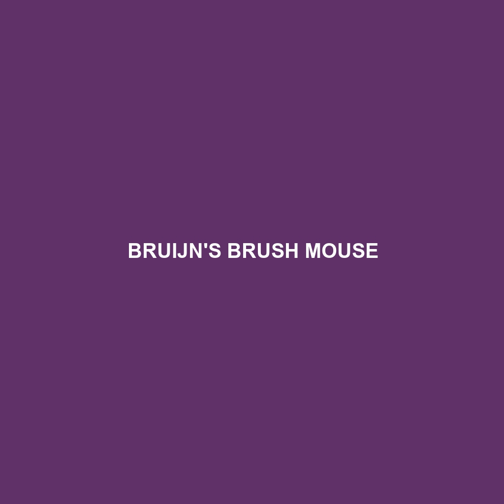 Bruijn's Brush Mouse