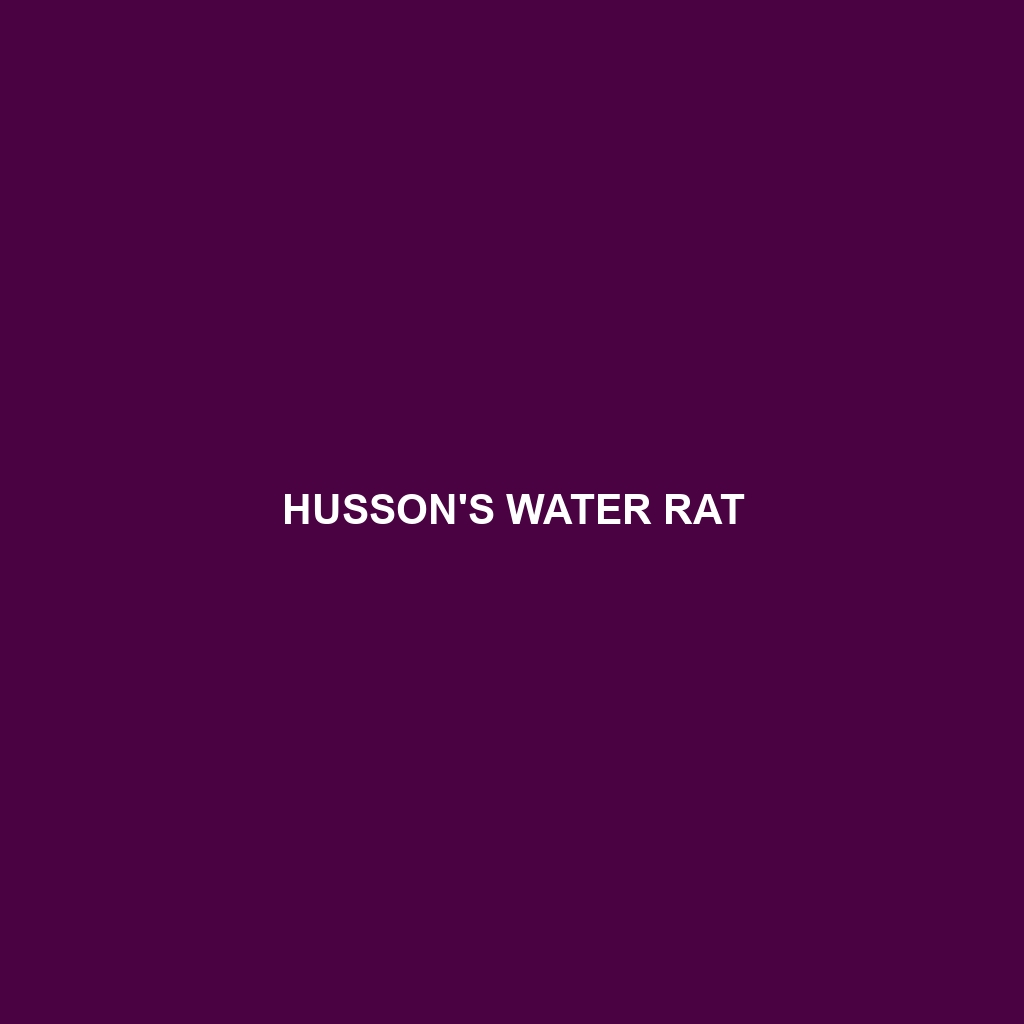 Husson's Water Rat