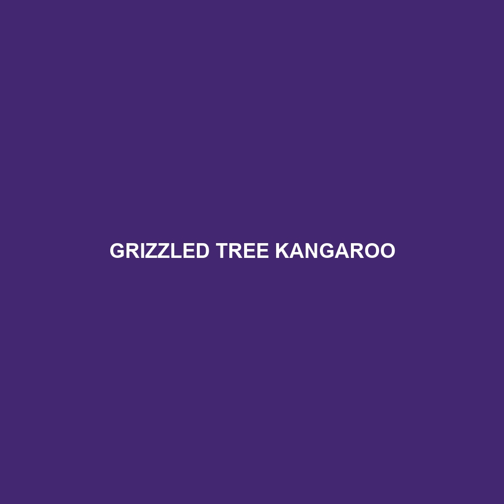 Grizzled Tree Kangaroo