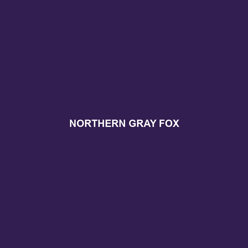 Northern Gray Fox