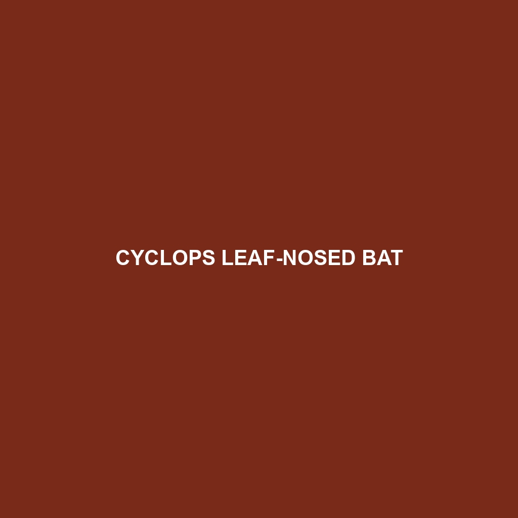 Cyclops Leaf-nosed Bat