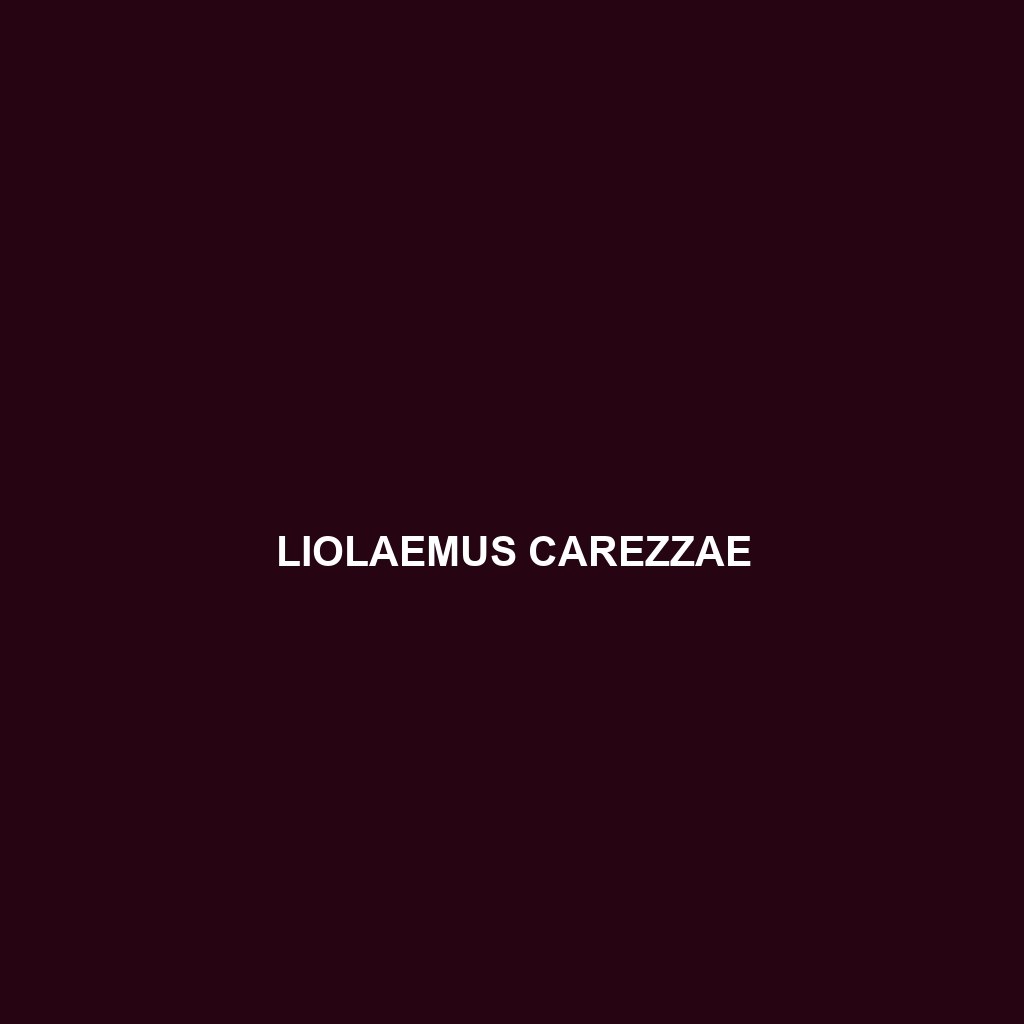 Liolaemus carezzae