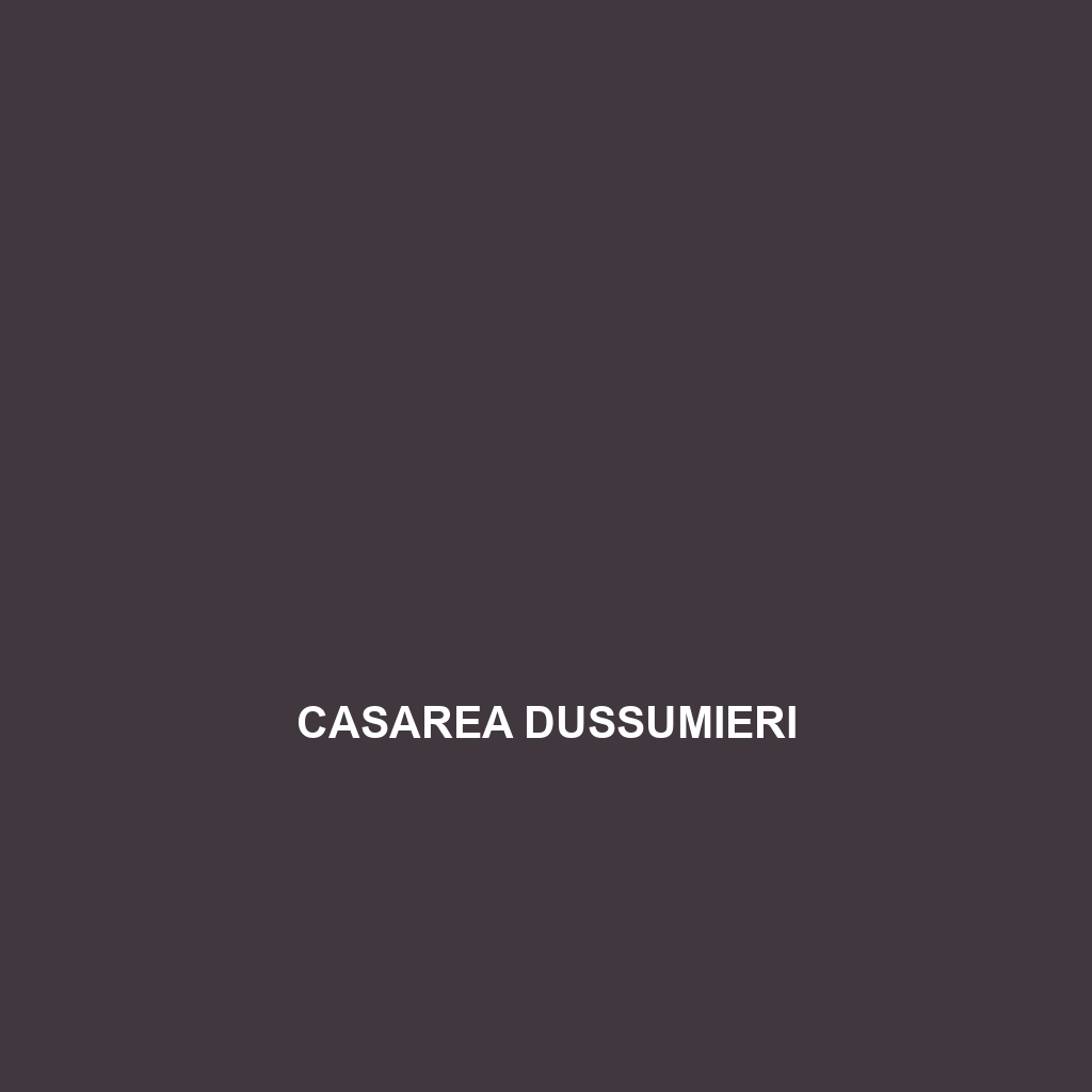 Casarea dussumieri