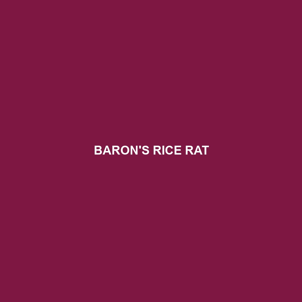 Ica Rice Rat