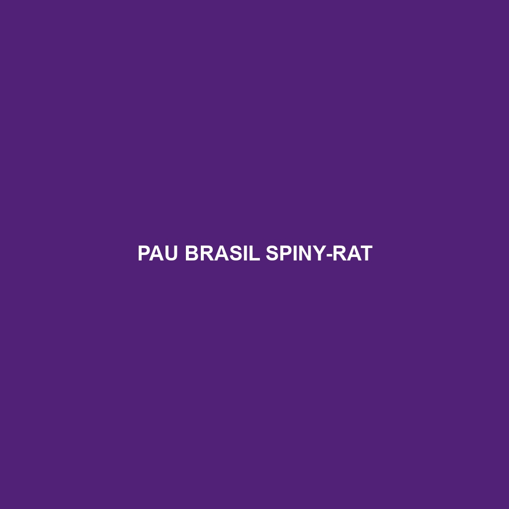 Pau Brasil Spiny-rat