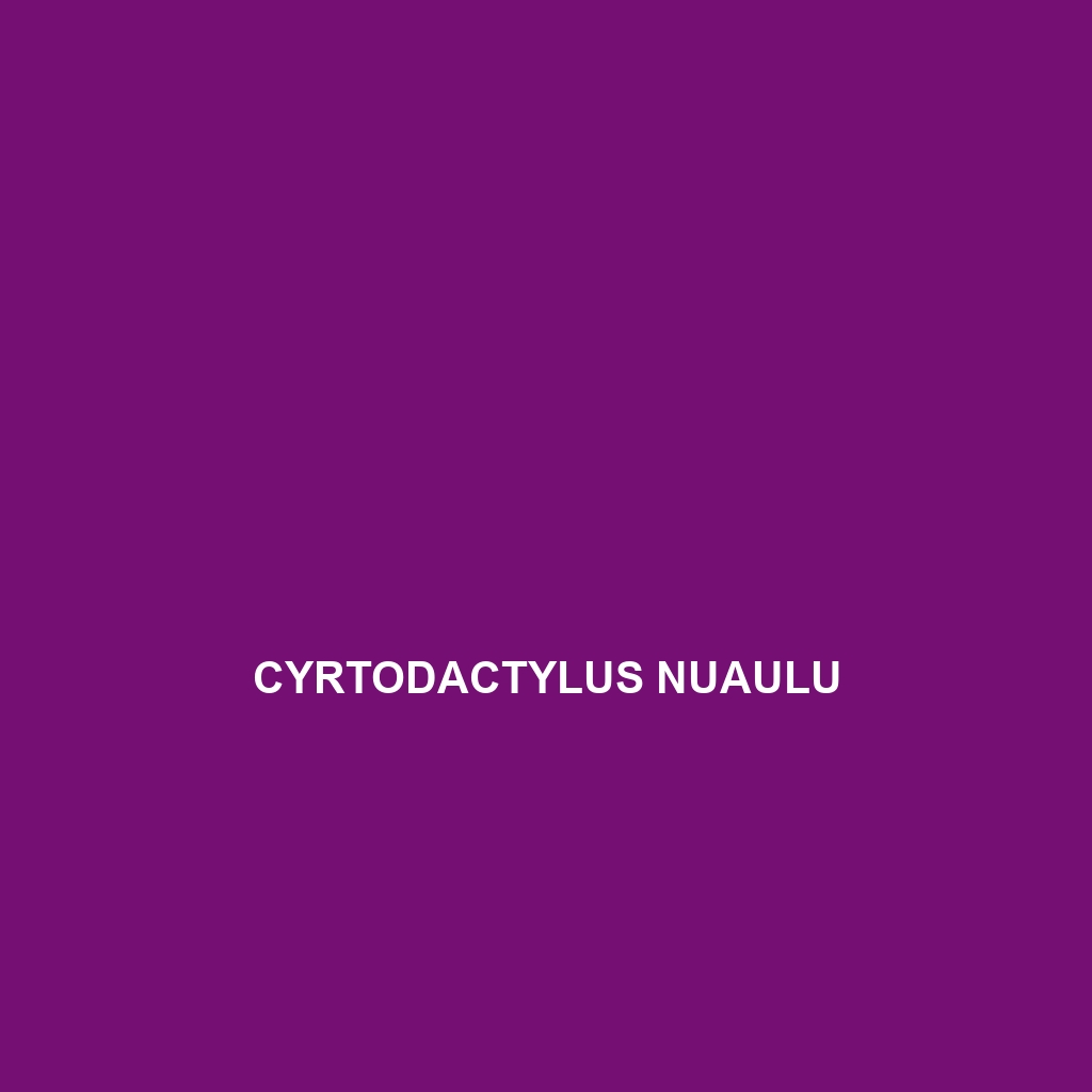 Cyrtodactylus nuaulu