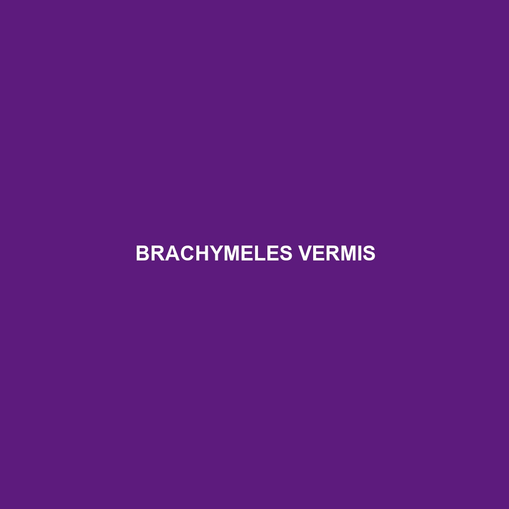 Brachymeles vermis