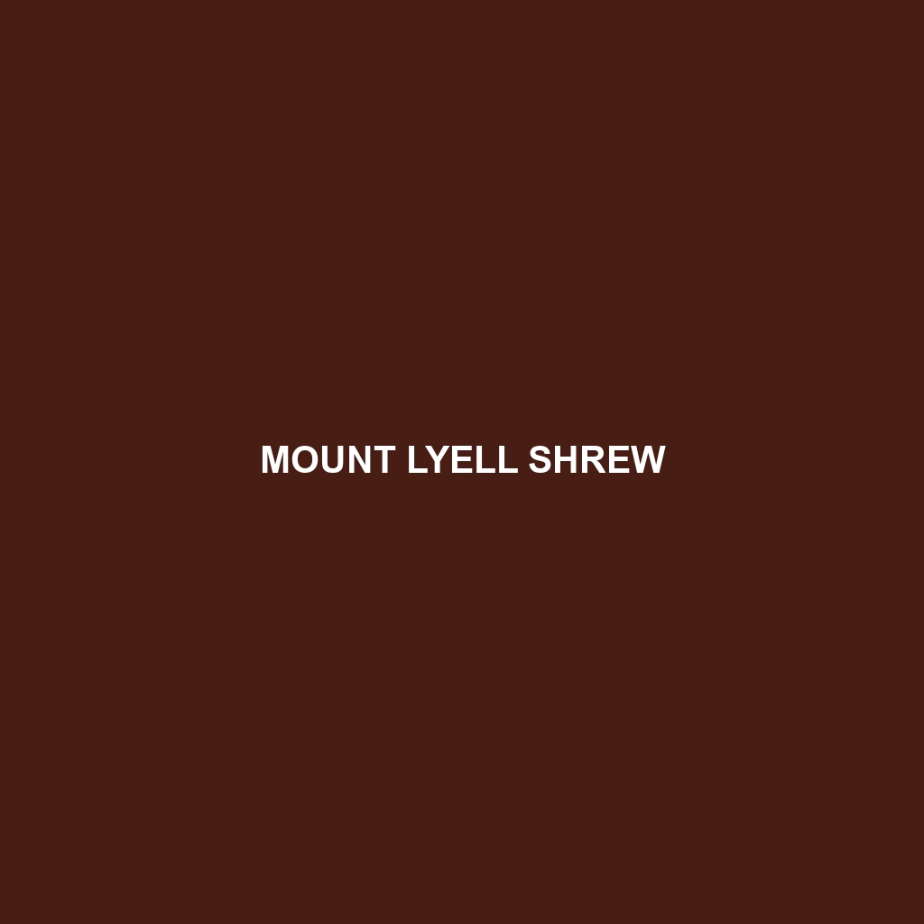 Mount Lyell Shrew