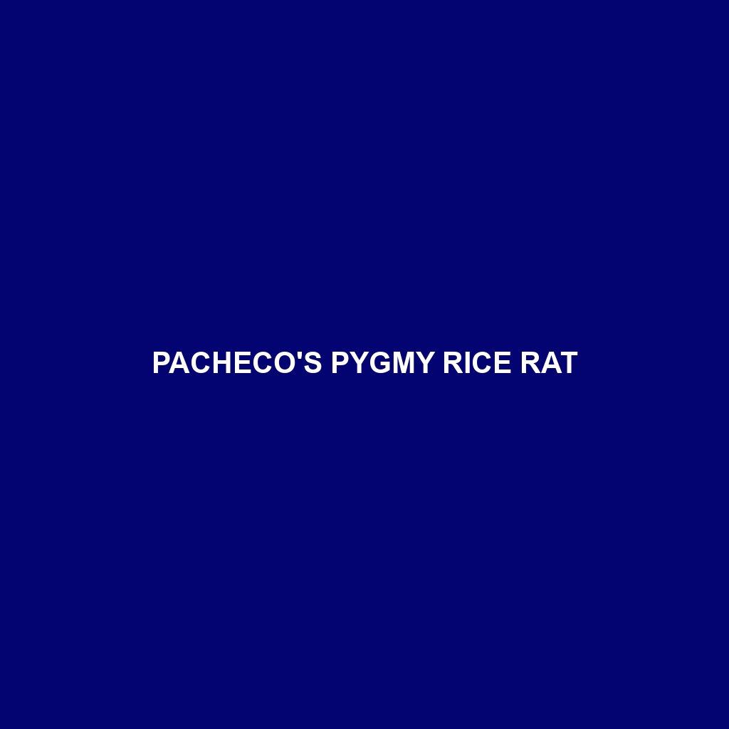 Pacheco's Pygmy Rice Rat