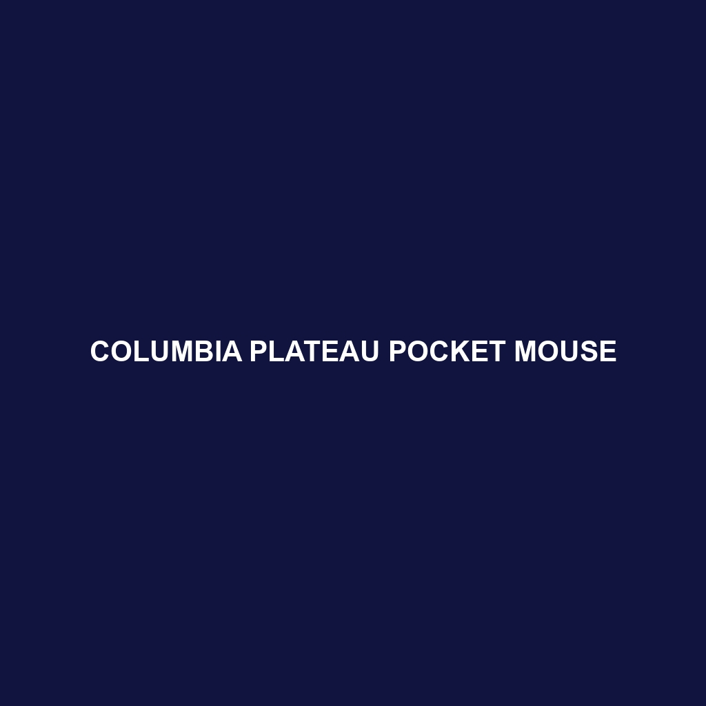 Columbia Plateau Pocket Mouse