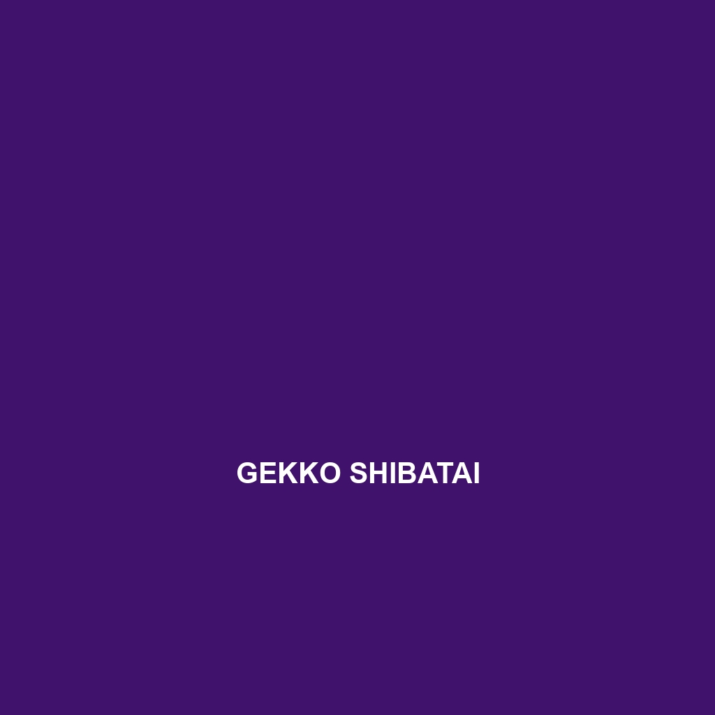 Gekko shibatai