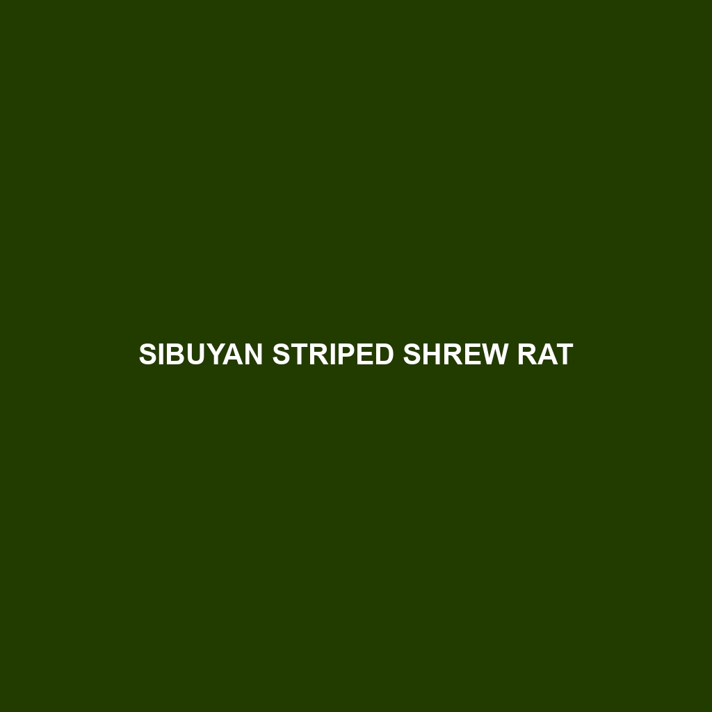 Sibuyan Striped Shrew Rat