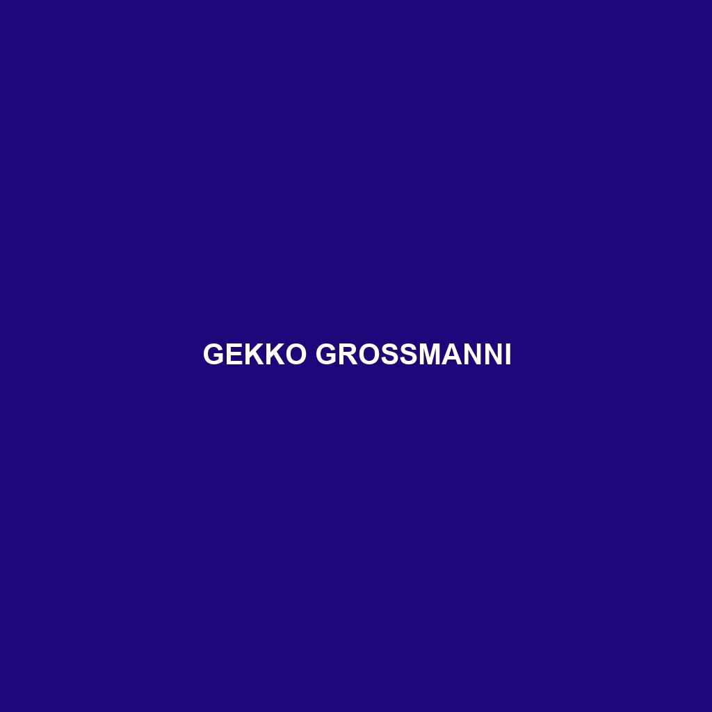 Gekko grossmanni