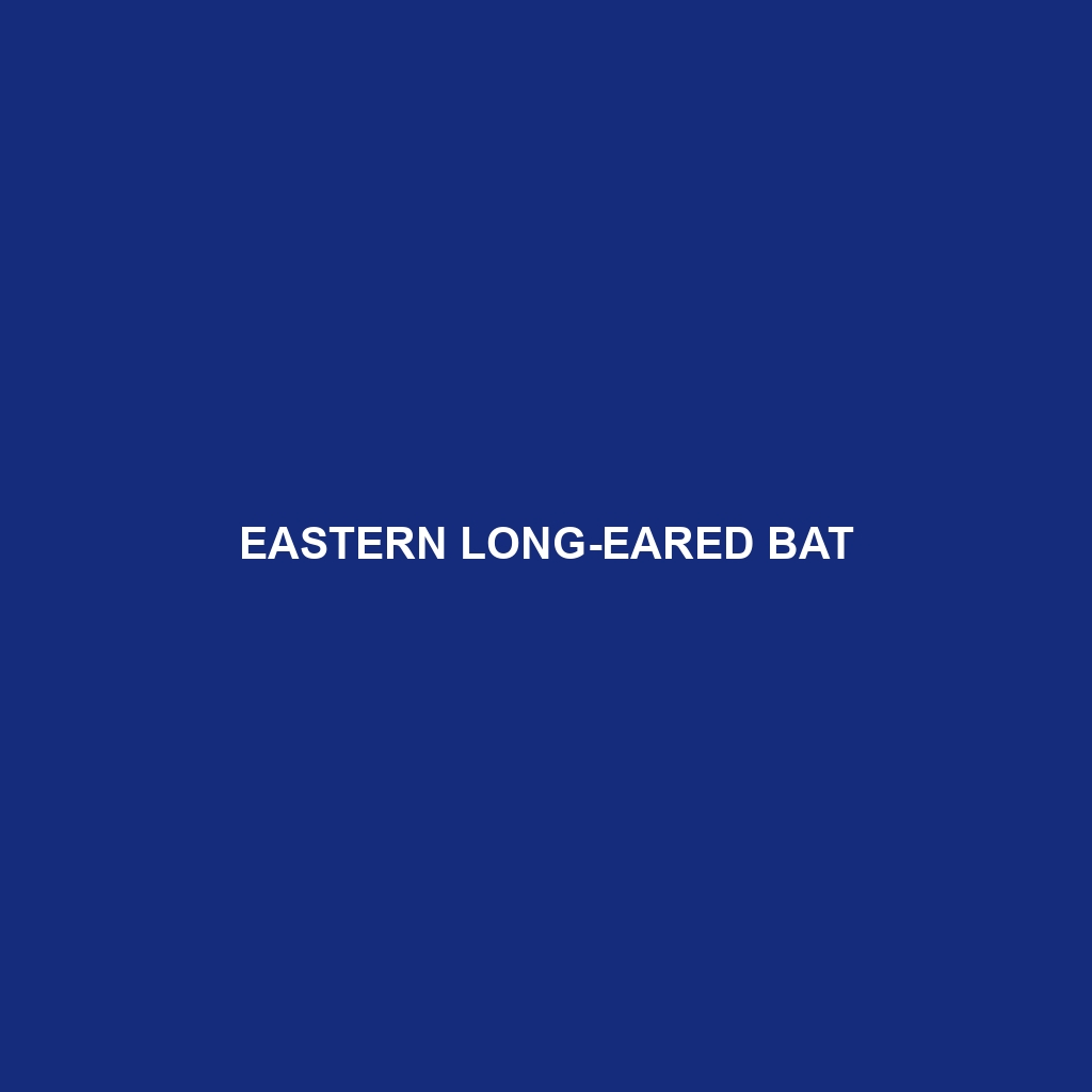 Eastern Long-eared Bat