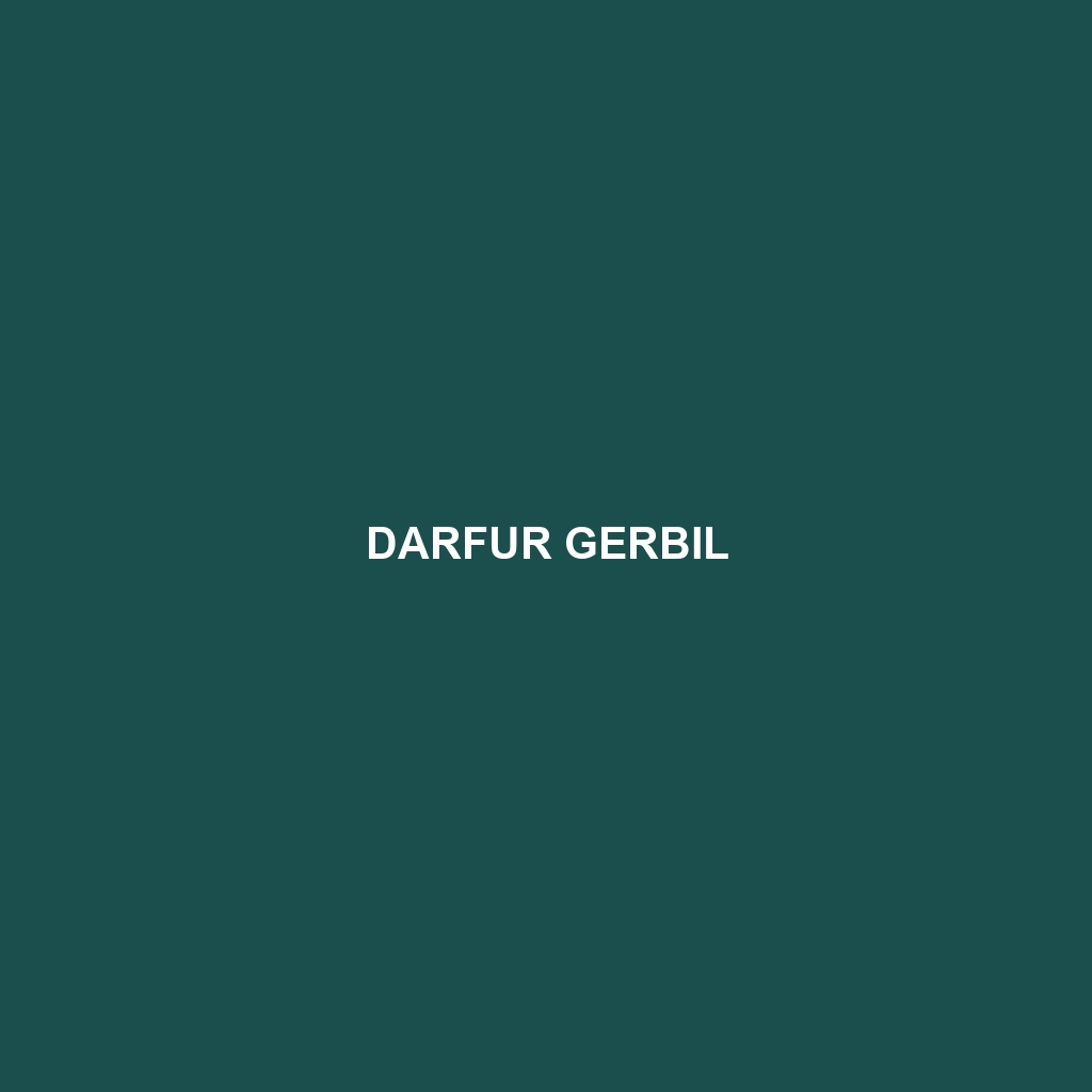 Darfur Gerbil