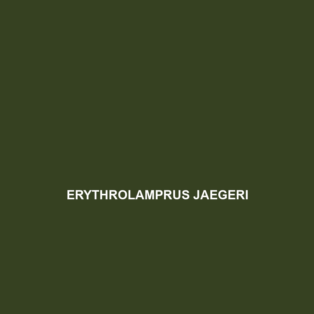 Erythrolamprus jaegeri