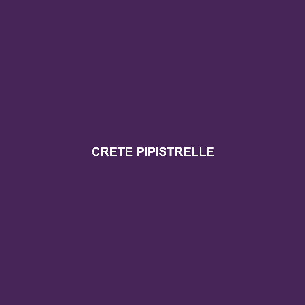 Crete Pipistrelle