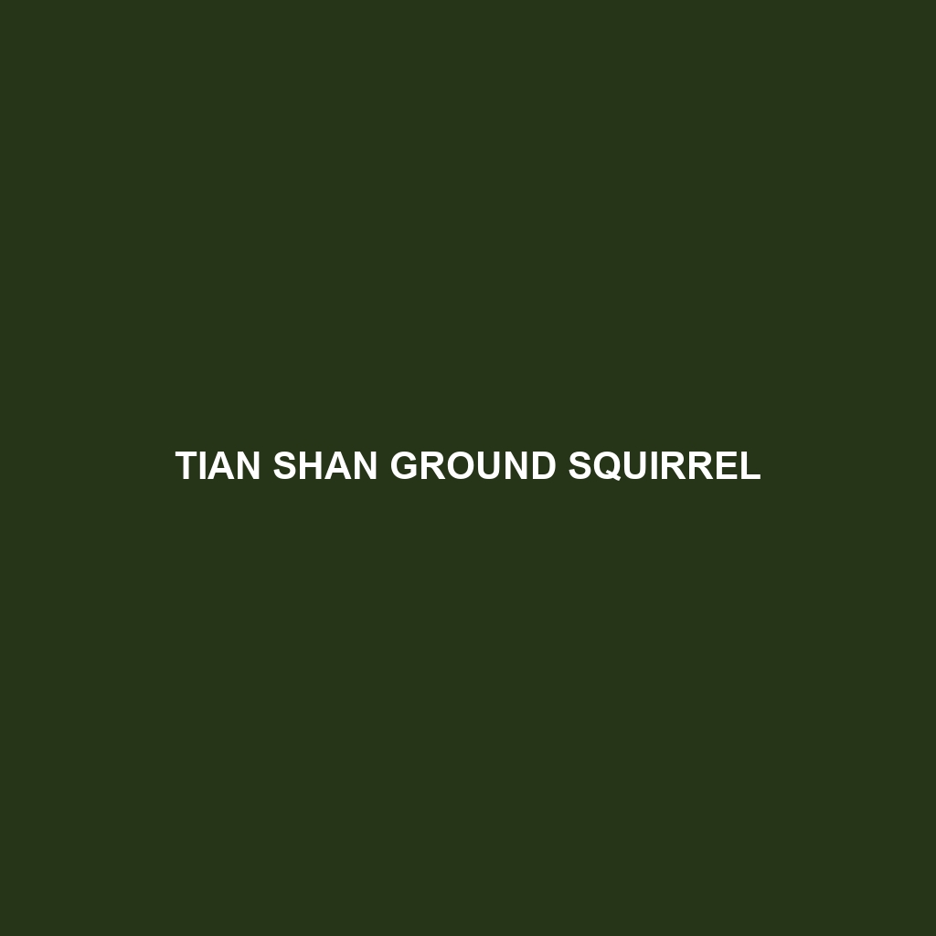 Tian Shan Ground Squirrel