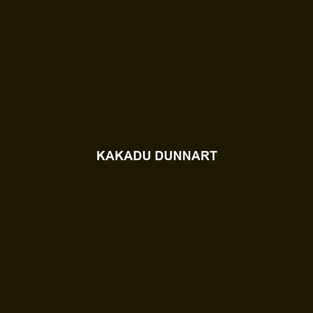 Kakadu Dunnart