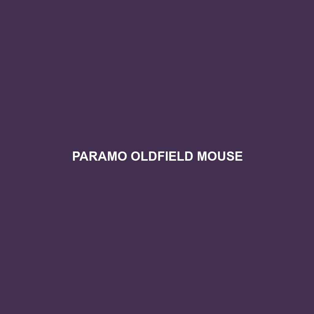 Paramo Oldfield Mouse